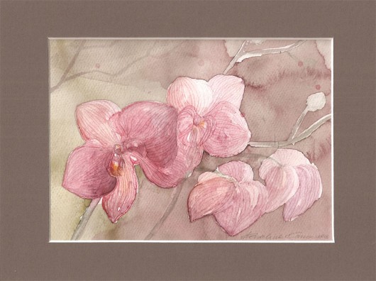 Orchidea Madame&Rose