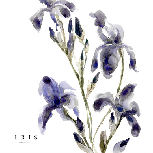 Irysy, print { 50x50 cm } Margo Hupert