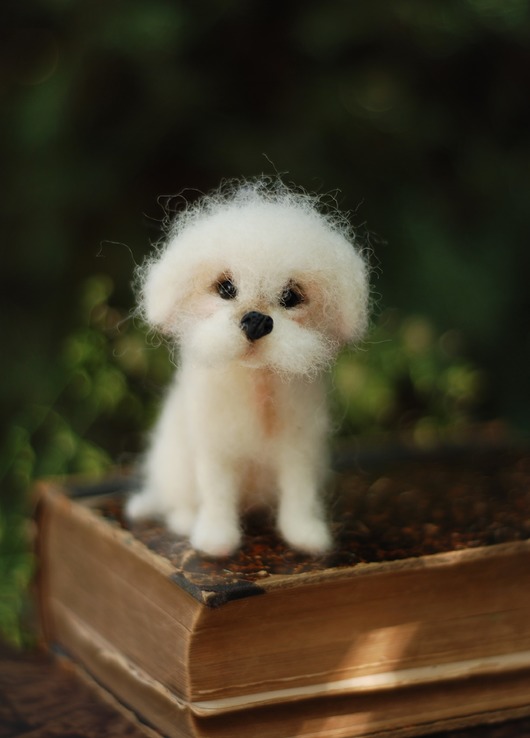 Maltańczyk Miniatura BoboLobo Handicraft