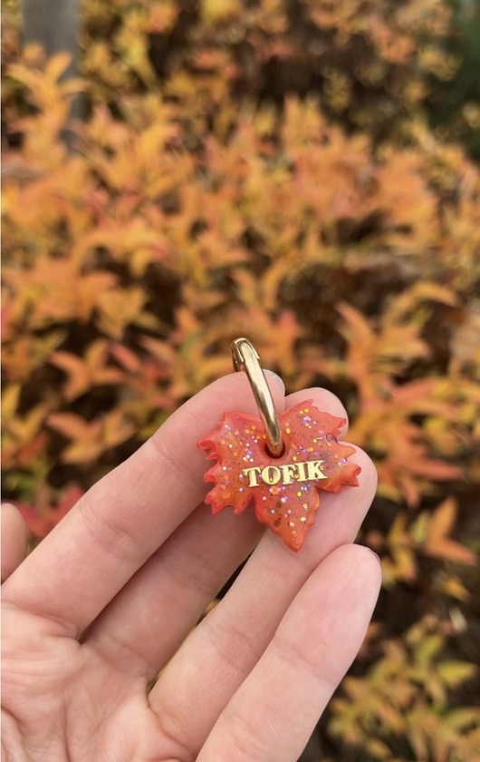 dla zwierząt różne Zawieszka listek z imieniem zwierzaka