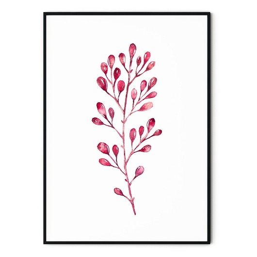 Plakat skandynawski botaniczny Leave myscandi