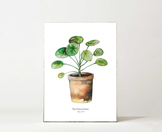 Plakat Pilea Regina Land Atelier