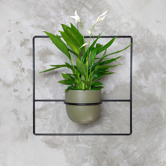 kwietniki Kwietnik Pilea+ czarny
