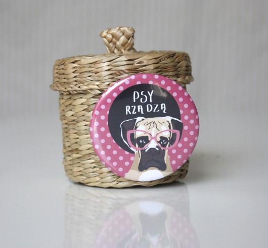 Przypinka Bokser Blue Bear