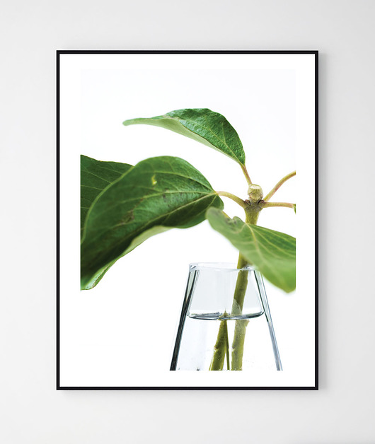 Plakat CLEAN/ Plant No.5 Szare Kropki