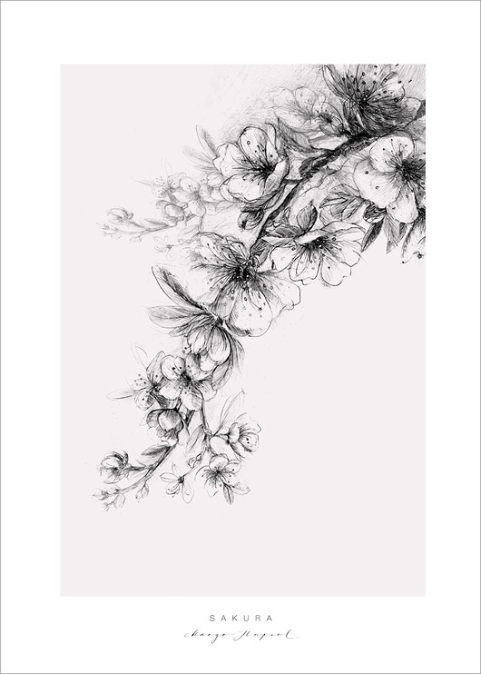 print 50x70 cm Margo Hupert