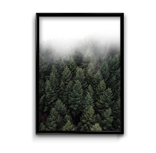 Plakat Deep forest #1  Bury Lis
