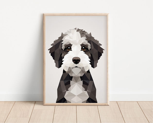 plakaty Plakat lagotto romagnolo