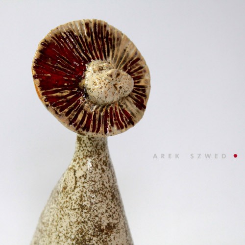 Lew Arek Szwed