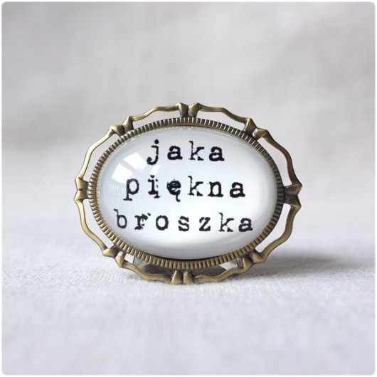 Jaka piękna broszka kameLeonia