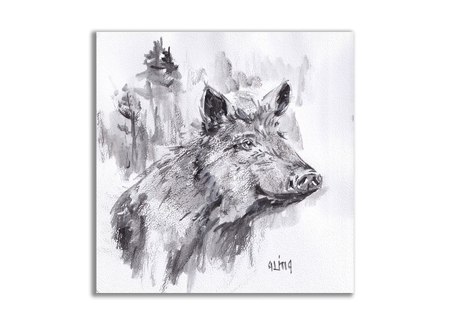 grafiki i ilustracje Dzik. Grafika ręcznie malowana