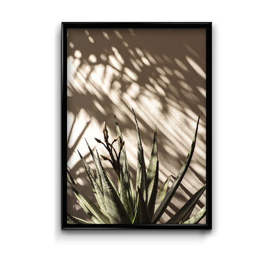 plakaty Plakat Cienie No.2