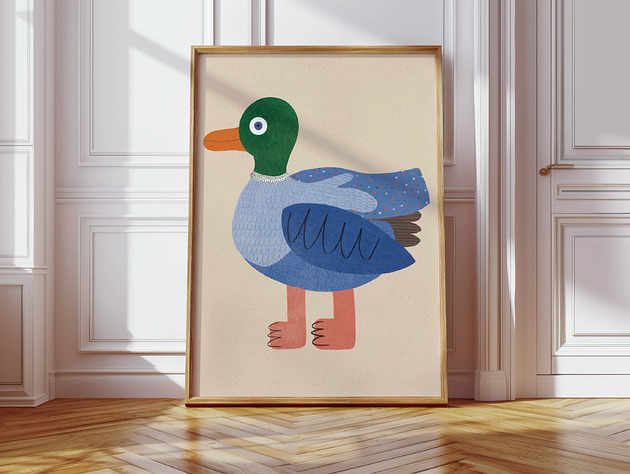 plakaty Plakat  Kaczka niebieska