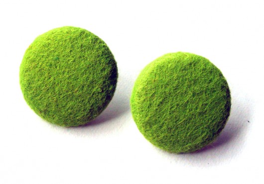 multi kiwi Monika Roth