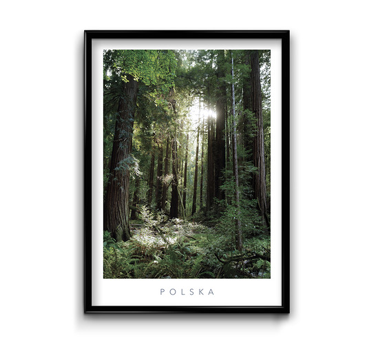 Plakat Polska 9  Bury Lis