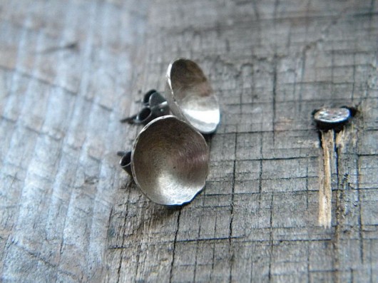 skorupki Beata Trotter