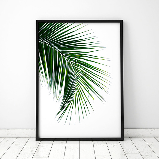Plakat Liść palmy 4 COLORMINT