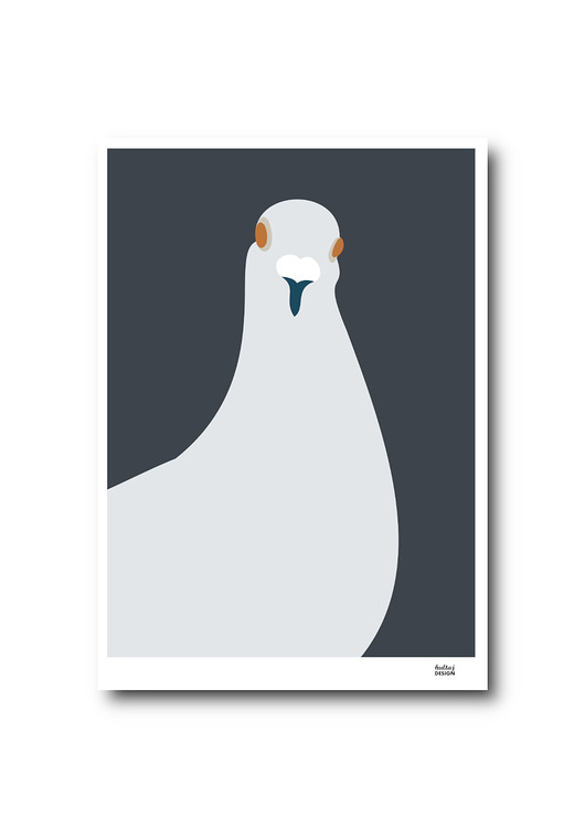 obrazy i plakaty do pokoju dziecięcego Plakat A4 Gołąb Agnieszka