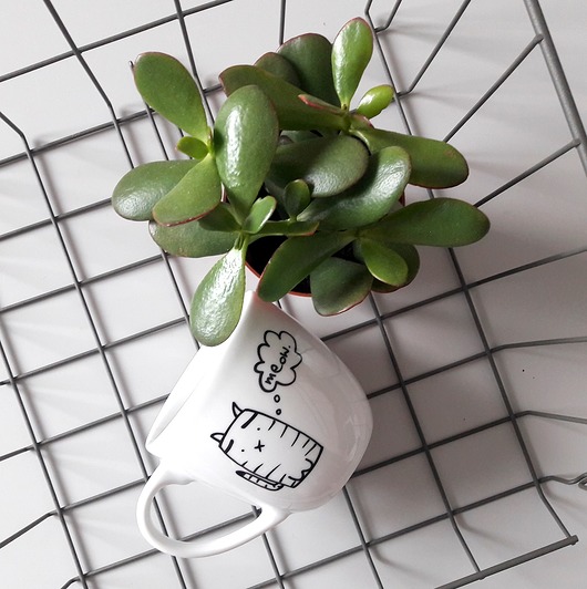 Koteł 350ML my mug company