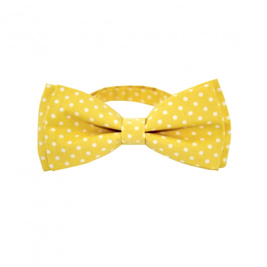 Muszka klasyczna The Bow Bow Ties