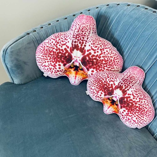 poduszki z grafiką Zestaw Poduszek Kwiat Storczyk Orchidea