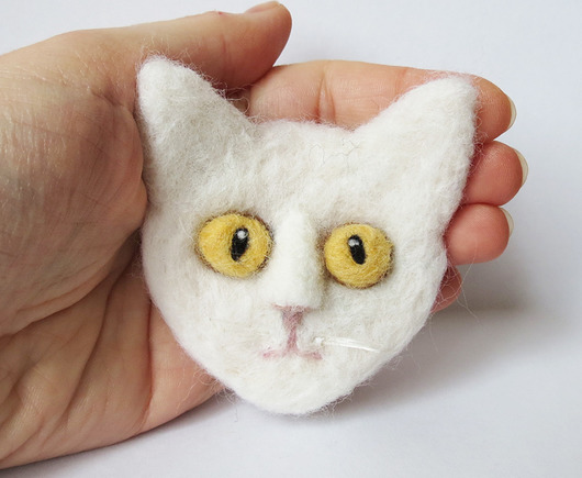 Kot turecka angora DoraHand