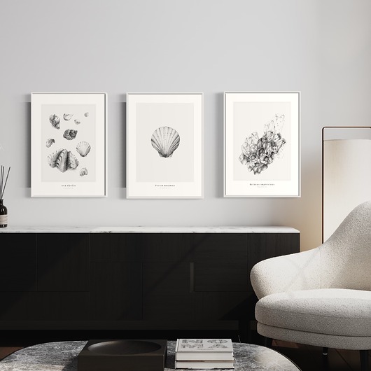 grafiki i ilustracje Muszle - Komplet 3 wydruków