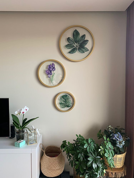 obrazy Szklany obraz - Monstera - Wall Me