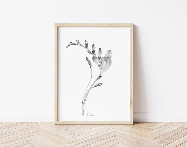 grafiki i ilustracje Grafika Akwarela Frezja