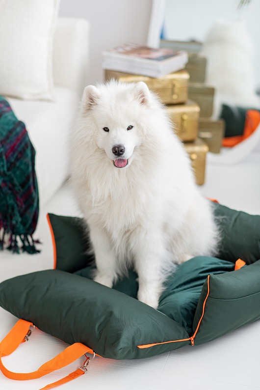 legowiska dla psów i kotów Legowisko torba  Green