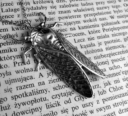 Cykada 1848 Zegarynki