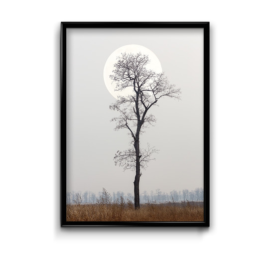 Plakat Drzewo z Księżycem  Bury Lis