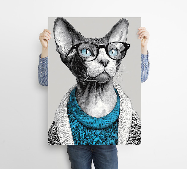 plakaty Kot w niebieskim swetrze - grafika na plakacie