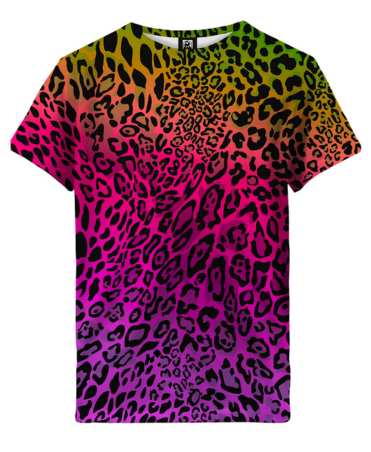 t-shirty dla chłopców T-shirt Boy DR.CROW Multicolor Leopard