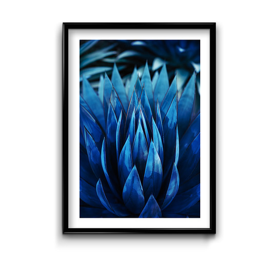 Plakat Navy Blue #2  Bury Lis
