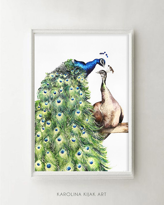 Pawie- plakat, reprodukcja 50x70cm Karolina Kijak