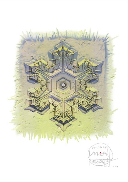 Gwiazdka Borowska Glass Design