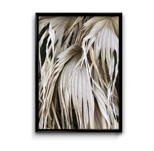 Plakat Suche Liście Palmy  Bury Lis
