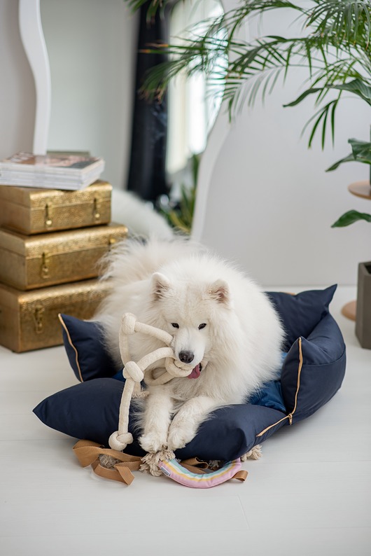 legowiska dla psów i kotów Legowisko przenośnie torba dla zwierząt  Dark blue/beige