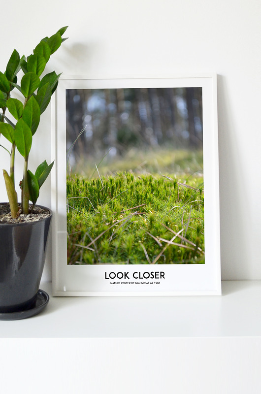 LOOK CLOSER Plakat GAU Home