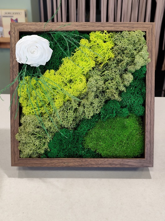 ramki na zdjęcia Ramka mech chrobotek wieczna róża do powieszenia postawienia dekoracja prezent