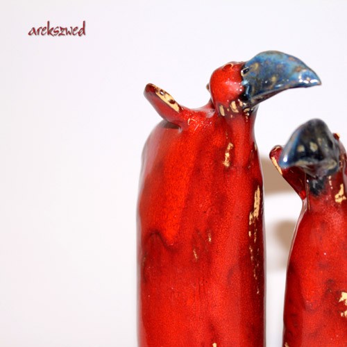 Terradony Arek Szwed