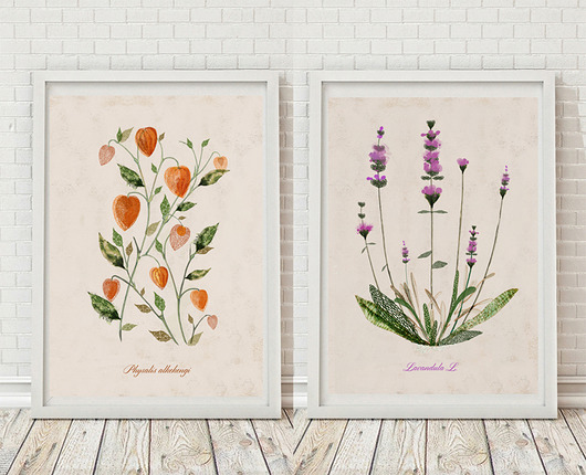 2 ilustracje botaniczne | A3 Anita Tomala