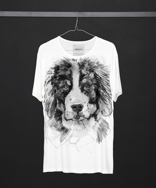 t-shirty męskie Bernese Mountain Dog Men's T-shirt white