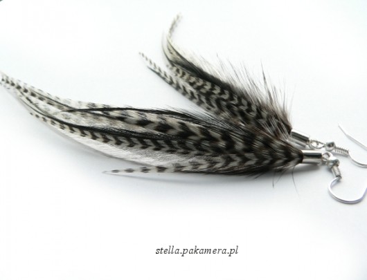 zebra mix Stella
