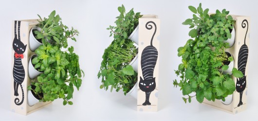 Zielnik Bonifacy GardenSpot