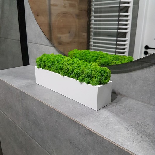 Doniczka: chrobotek reniferowy 30 cm,biała Loveplants