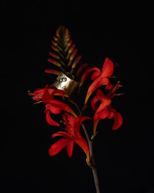 pierścionki - różne Pierścionek TERRA No. 1