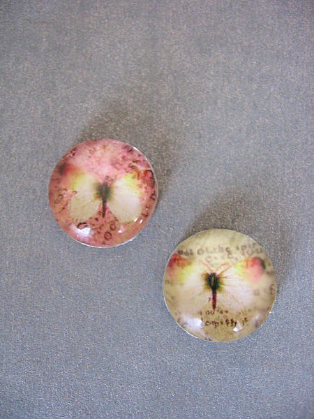 motylki Galeria Belladonna