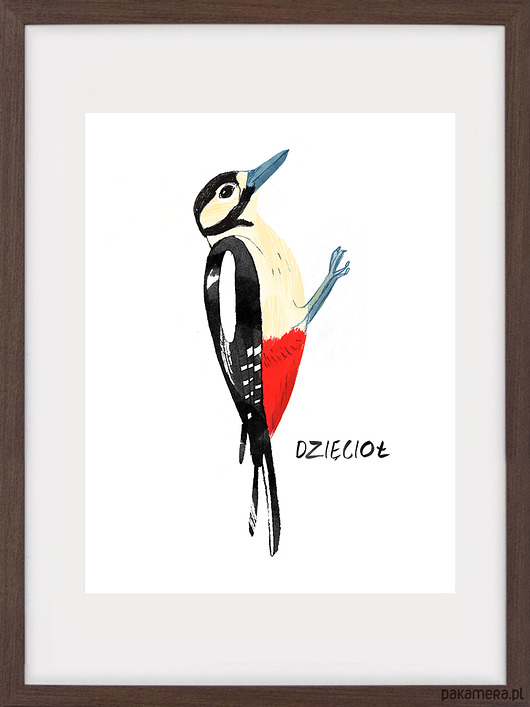 plakaty DZIĘCIOŁ, GRAFIKA 30X40